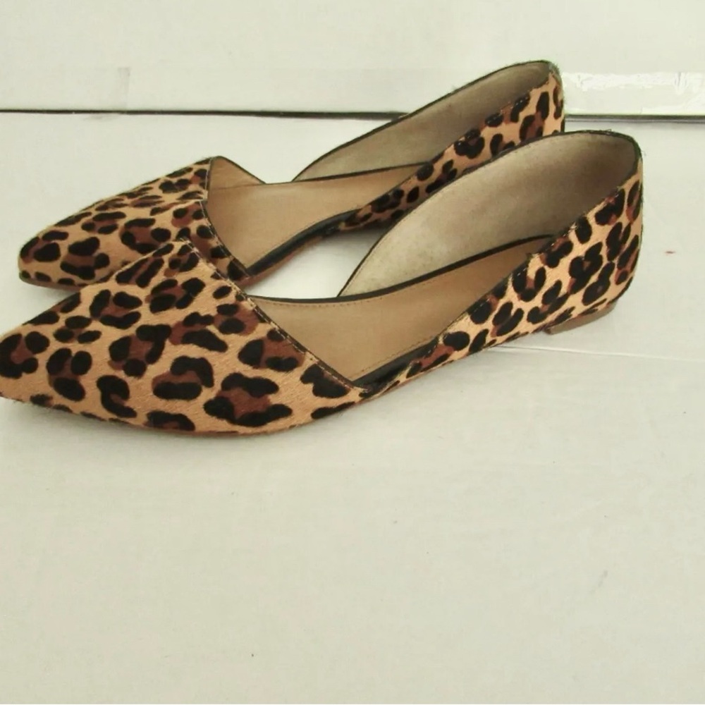 Jcrew point toe Leopard Print Women's Flats